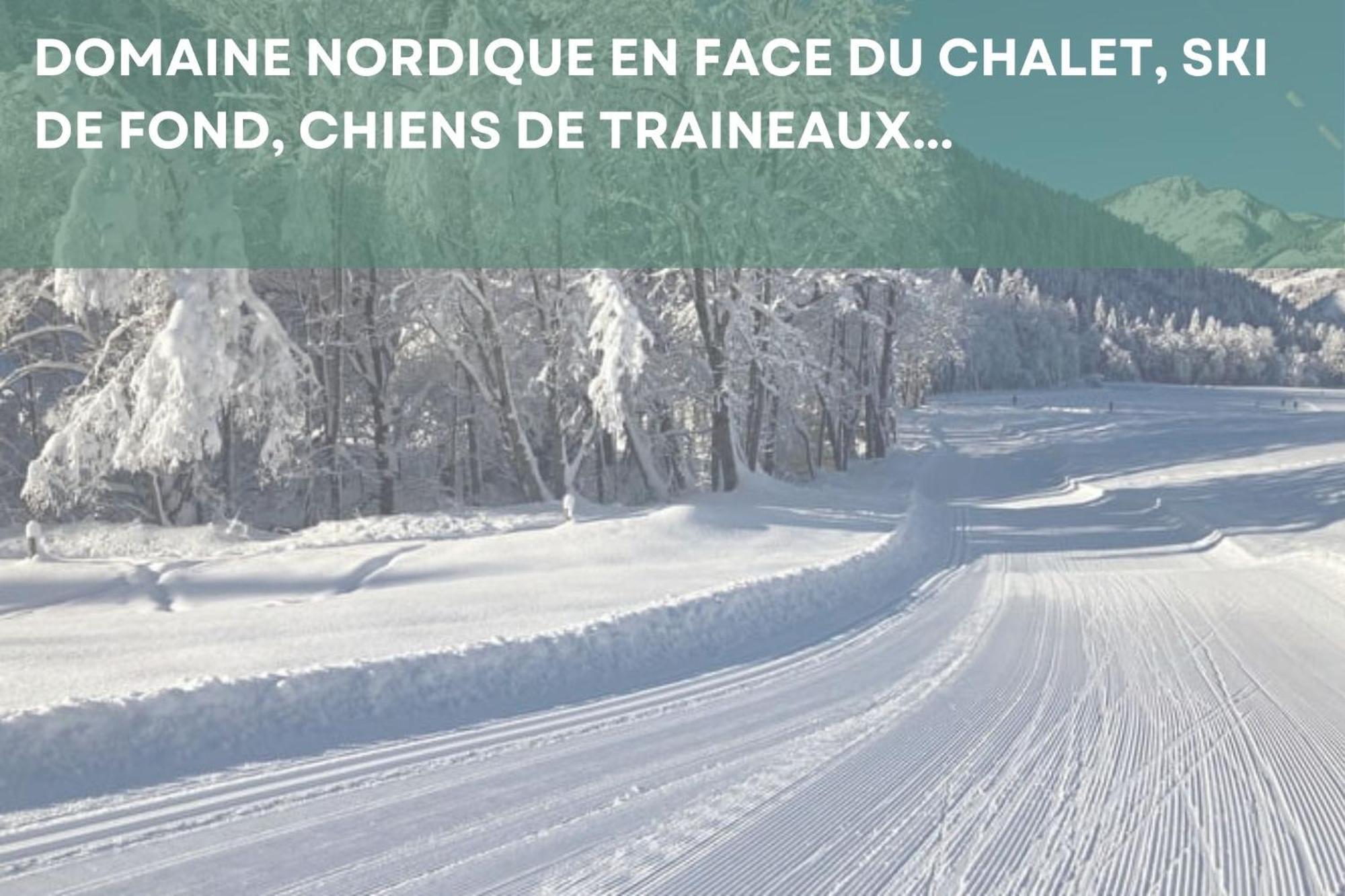 Chalet Les 4 Saisons - Ski, Parking Et Jardin Abondance Eksteriør bilde
