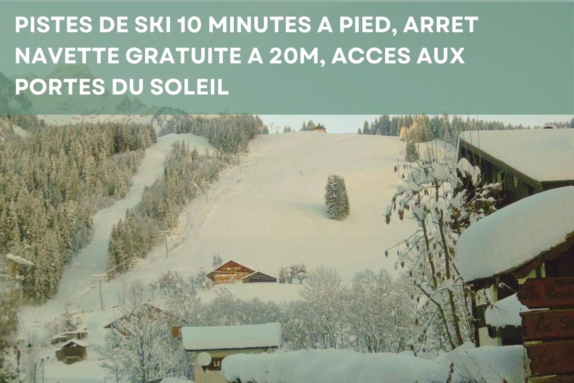 Chalet Les 4 Saisons - Ski, Parking Et Jardin Abondance Eksteriør bilde