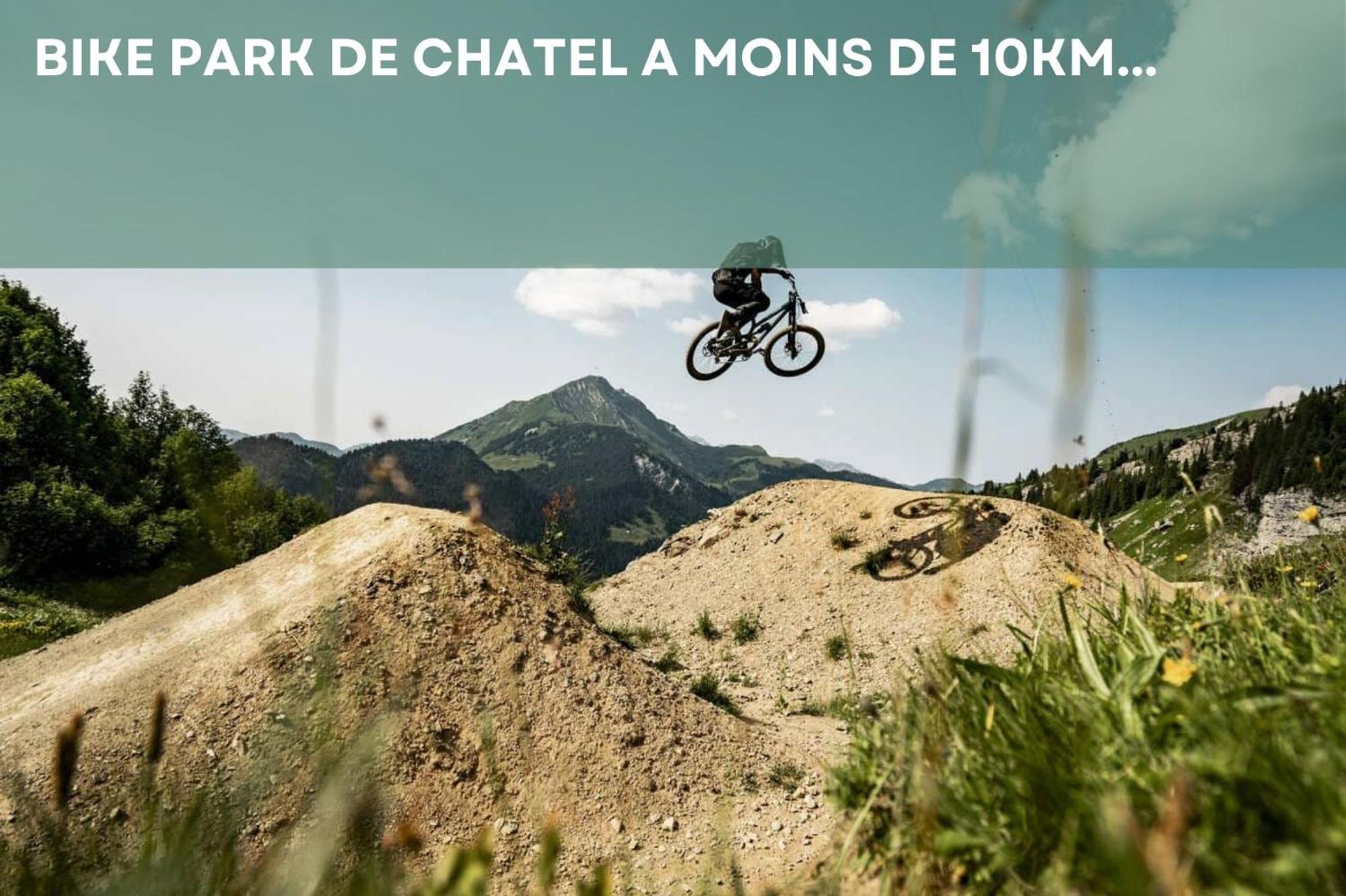 Chalet Les 4 Saisons - Ski, Parking Et Jardin Abondance Eksteriør bilde